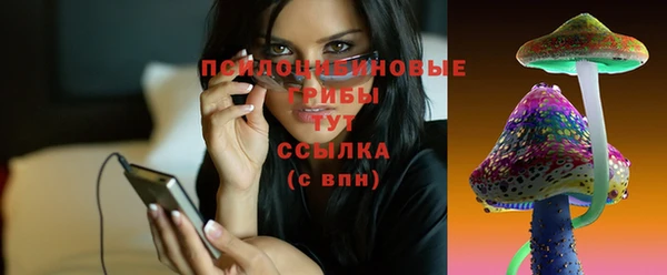 мдпв Козловка