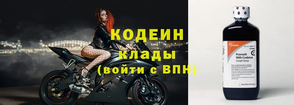 МДПВ Кодинск
