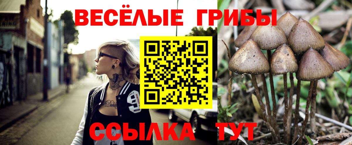 как найти наркотики  Вход с VPN  Галлюциногенные грибы Magic Shrooms  Домодедово  Псилоцибиновые грибы Magic Shrooms 